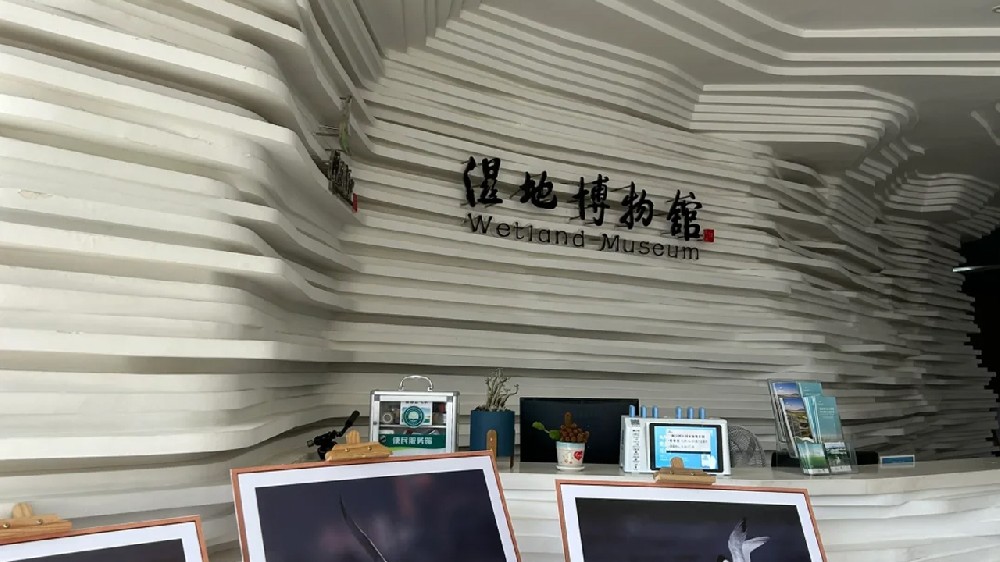 專(zhuān)注、專(zhuān)業(yè)、專(zhuān)心，閩江口濕地博物館項(xiàng)目施工